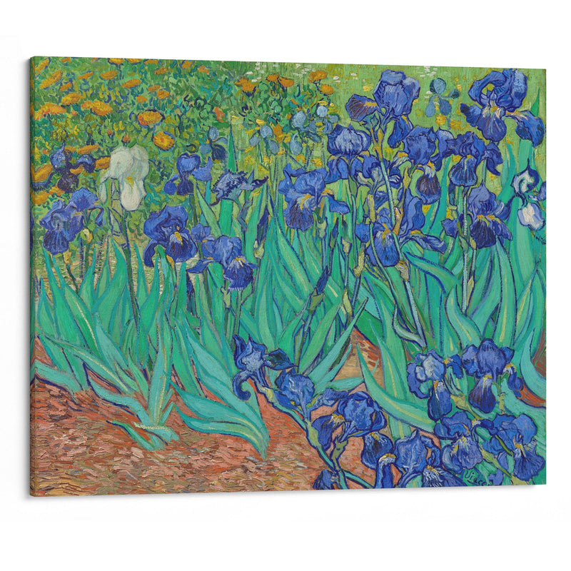 Irises (1889) - Vincent van Gogh - Canvas Print - UAIO LMT