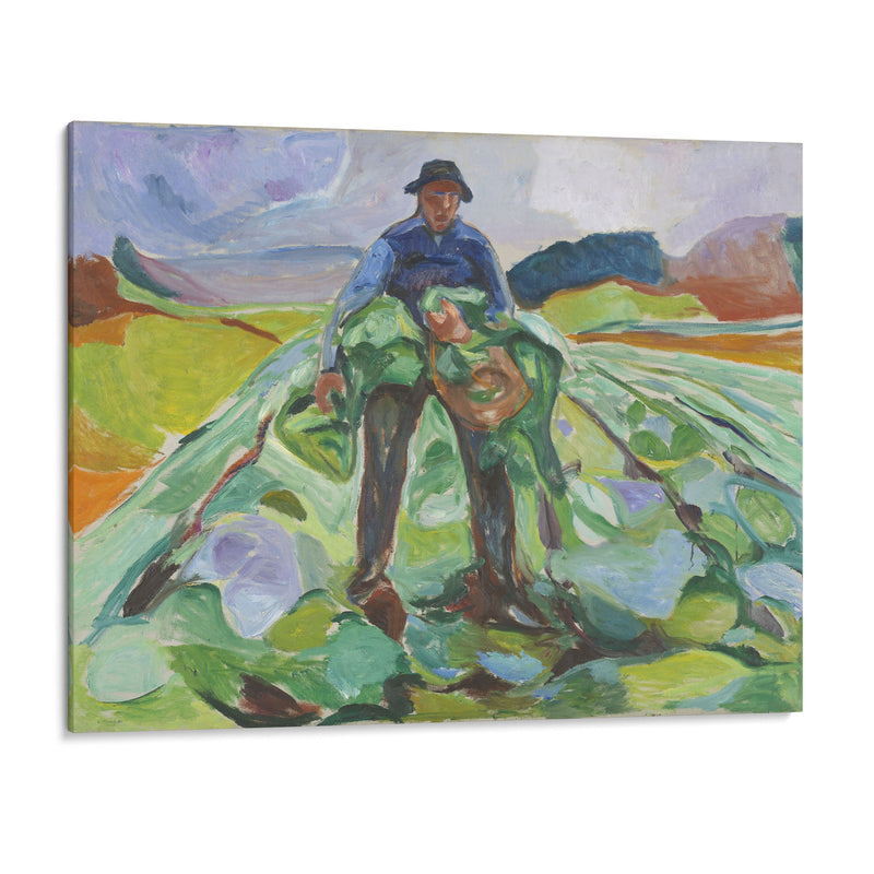 Man in the Cabbage Field (1916) - Edvard Munch - Canvas Print