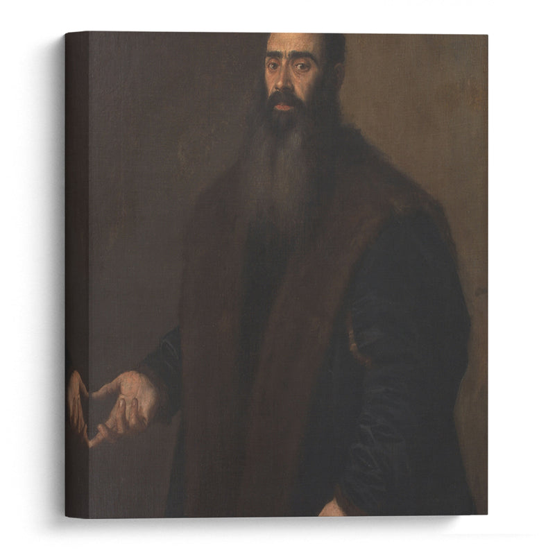 Portrait of the Nuremburg Merchant and Collector Willibald Imhoff the Elder (1519-1580) (1549 - 1570) - Titian - Canvas Print