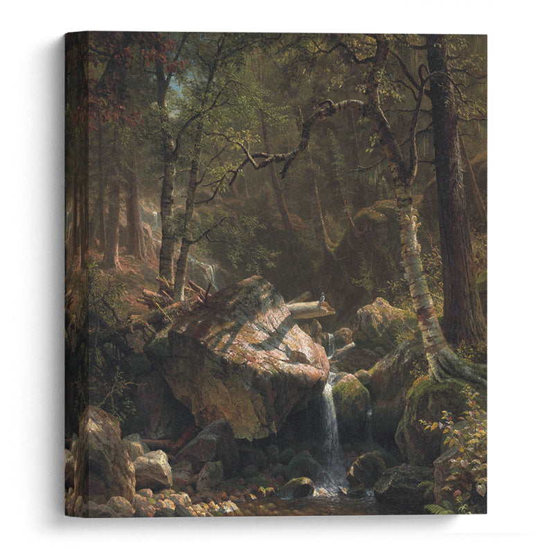 Mountain Brook (1863) - Albert Bierstadt - Canvas Print