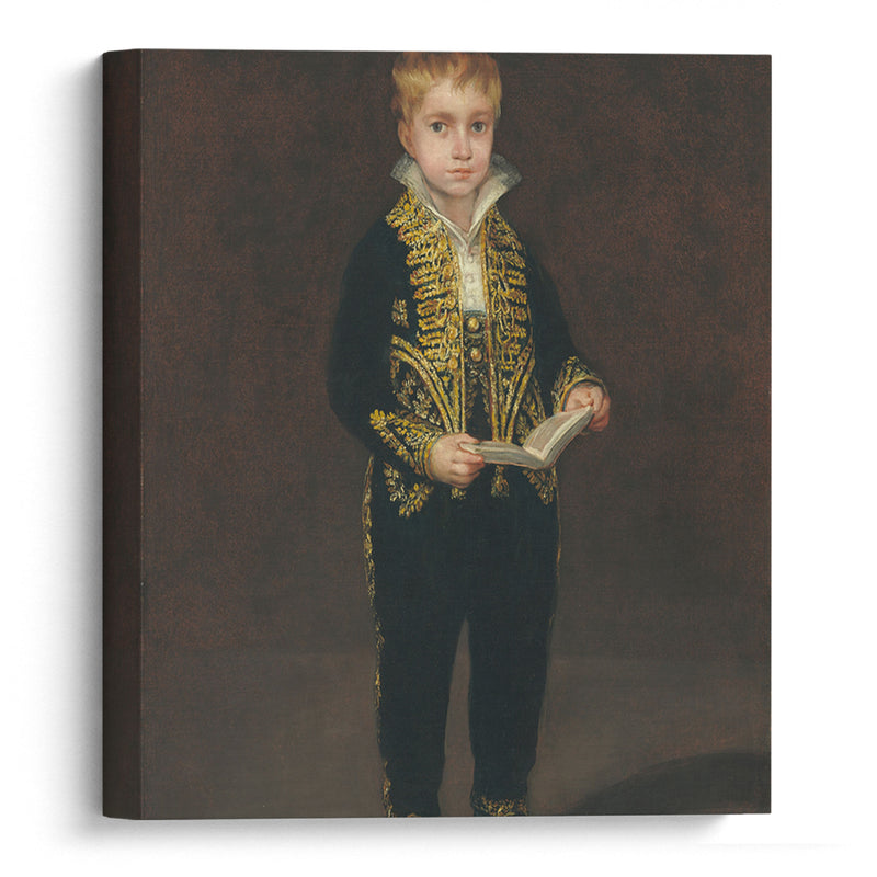 Victor Guye (1810) - Francisco de Goya - Canvas Print