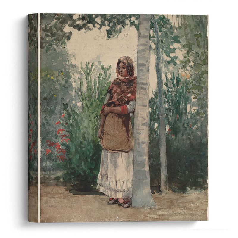 Under a Palm Tree (1886) - Winslow Homer - Canvas Print