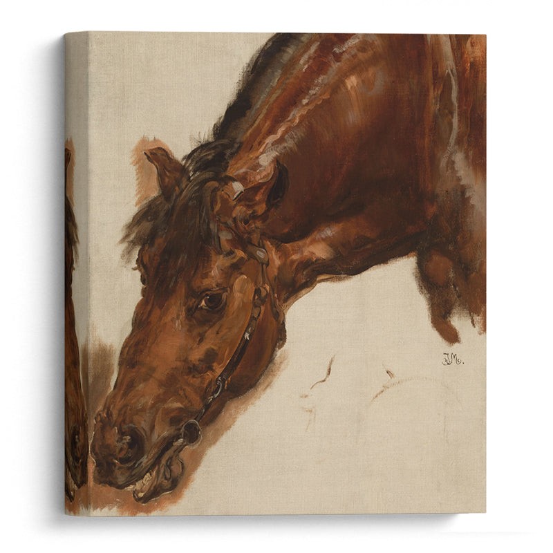 Study of a horse head (1875) - Jan Matejko - Canvas Print