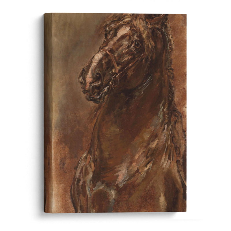 Study of horse’s head for “The Maid of Orléans” (1886) - Jan Matejko - Canvas Print