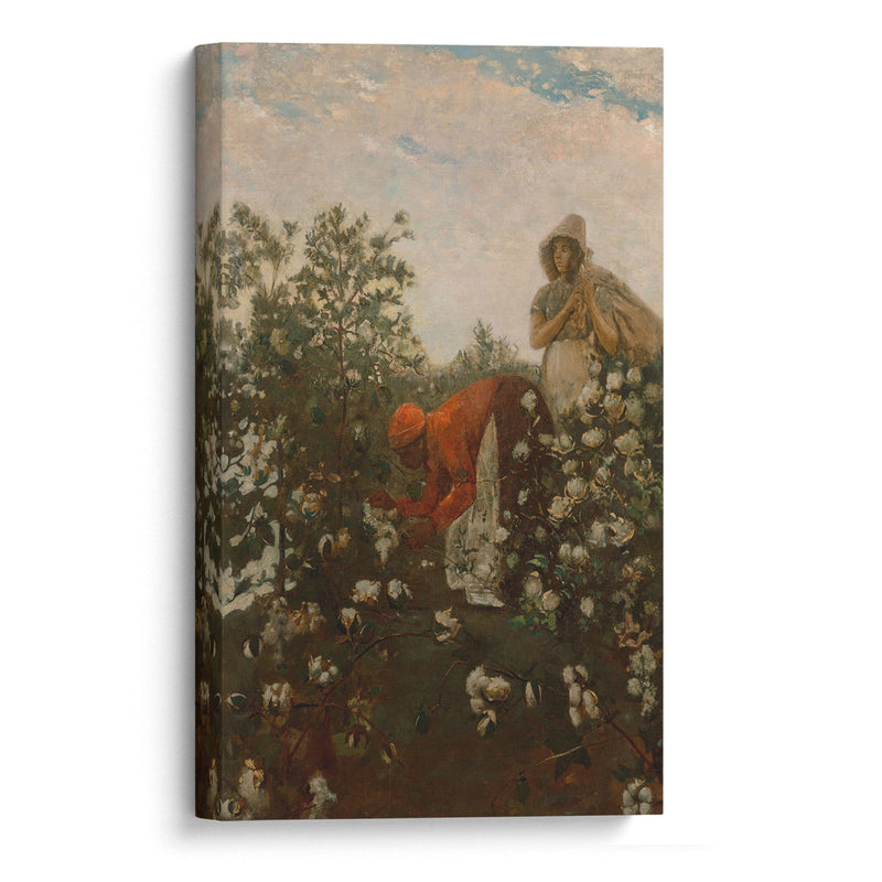 Upland Cotton (1879-1895) - Winslow Homer - Canvas Print