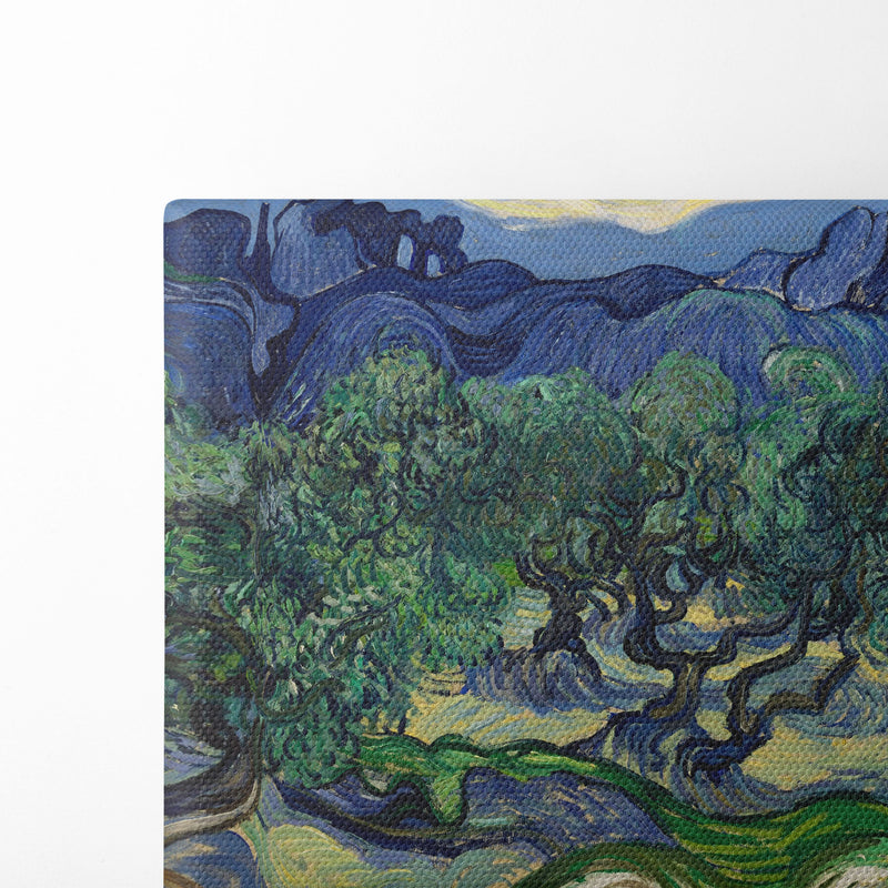 The Olive Trees (1889) - Vincent van Gogh - Canvas Print - UAIO LMT