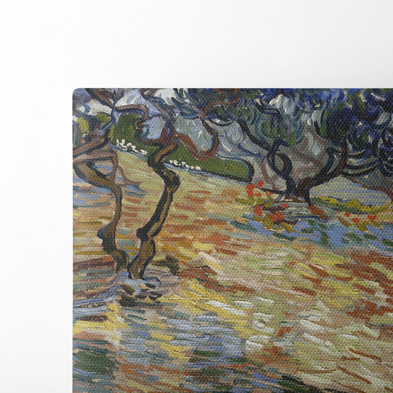 Olive Trees - Vincent van Gogh - Canvas Print - UAIO LMT