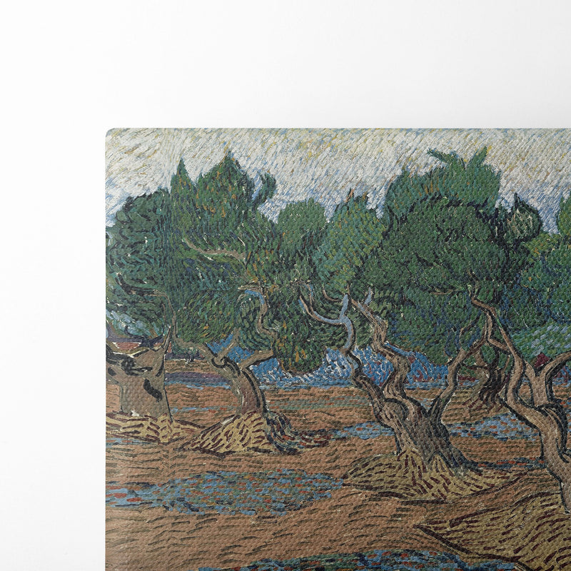 Olive grove - Vincent van Gogh - Canvas Print - UAIO LMT