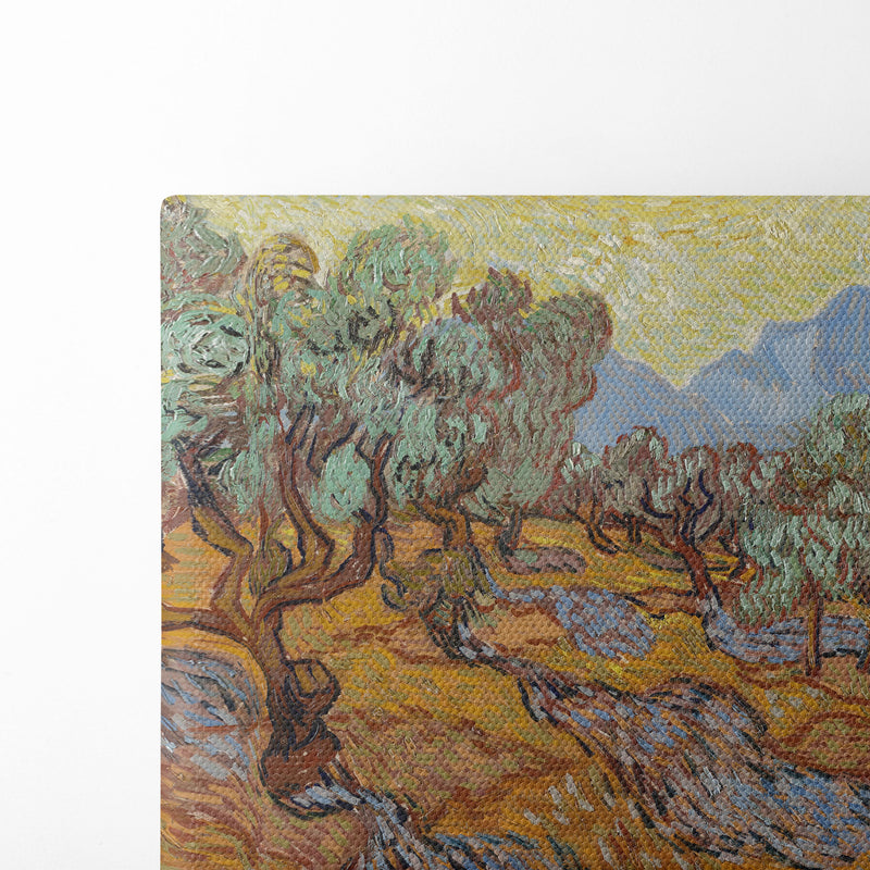 Olive Trees (1889) - Vincent van Gogh - Canvas Print - UAIO LMT