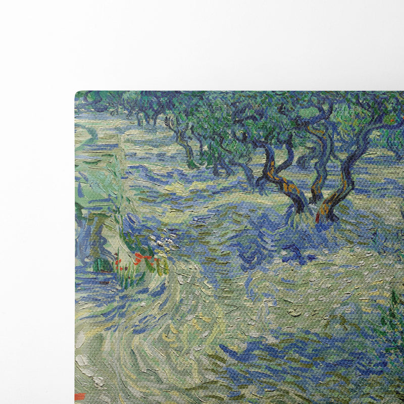 Olive Orchard - Vincent van Gogh - Canvas Print - UAIO LMT