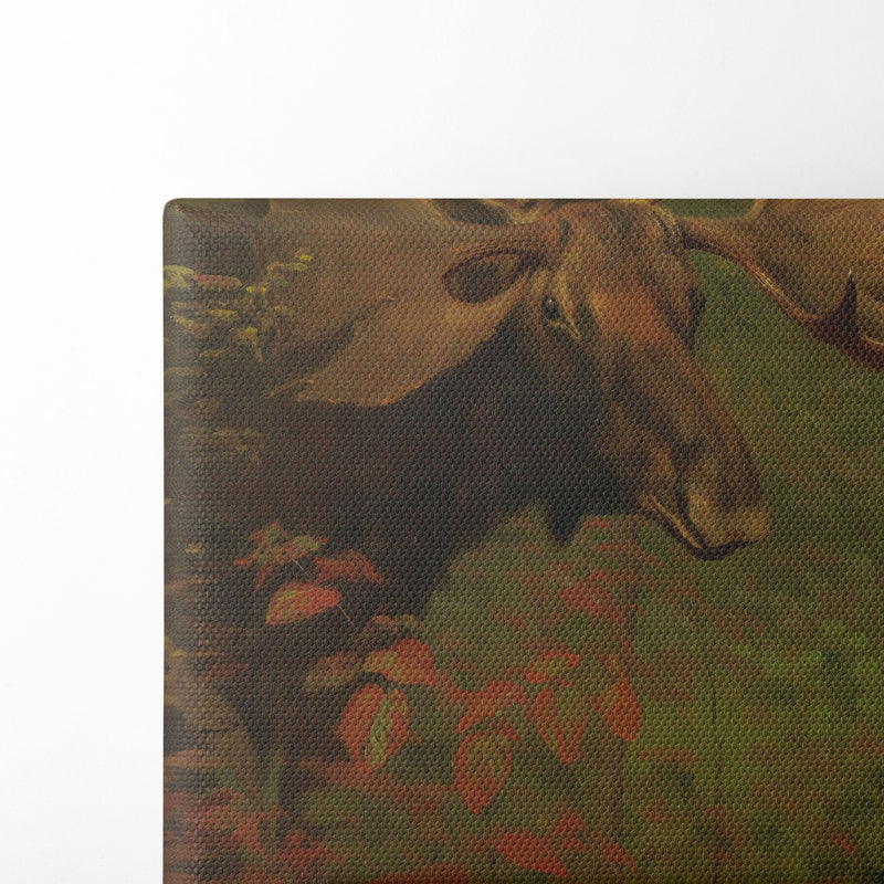 Study Of A Moose - Albert Bierstadt - Canvas Print