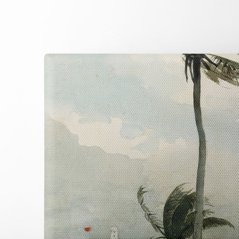 Palm Tree, Nassau (1898) - Winslow Homer - Canvas Print