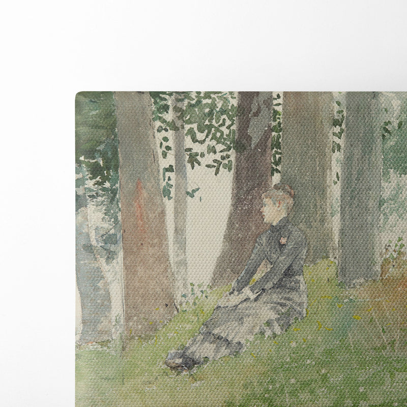 Girl Seated In A Grove (1880) - Winslow Homer - Canvas Print