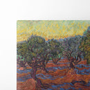 Olive Grove, Saint-Rémy (1889) - Vincent van Gogh - Canvas Print