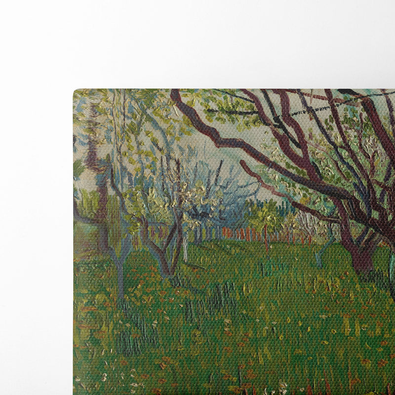 The Flowering Orchard (1888) - Vincent van Gogh - Canvas Print - UAIO LMT