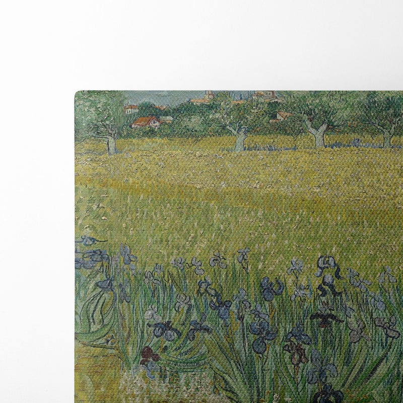 View of Arles with Irises (1888) - Vincent van Gogh - Canvas Print