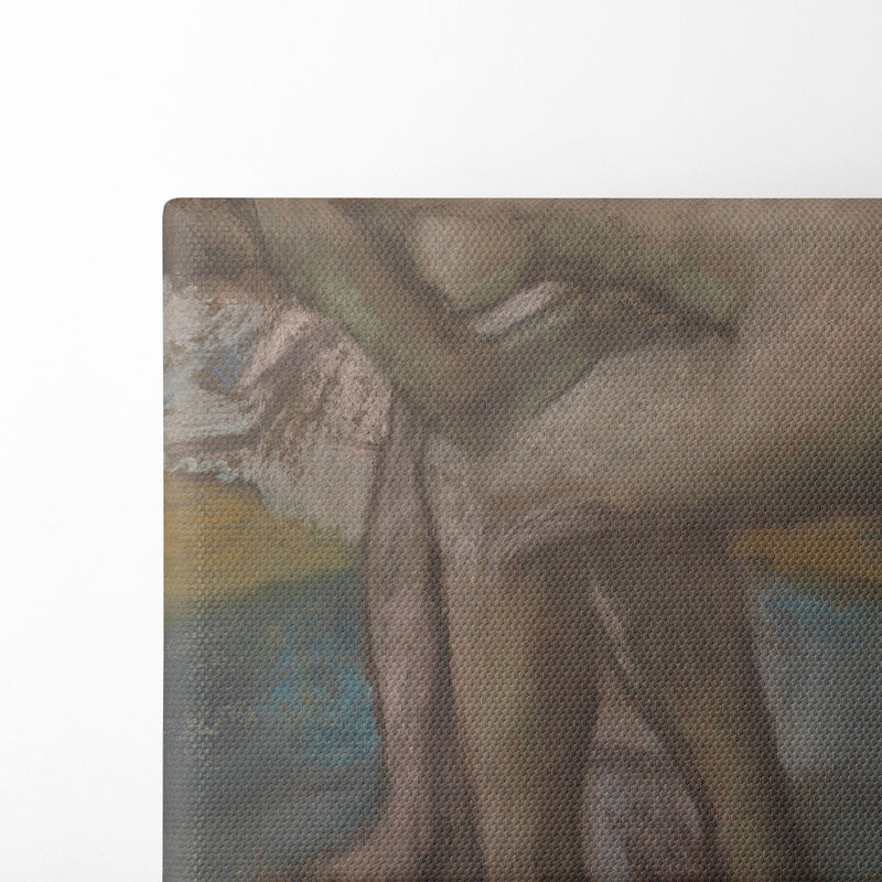 Woman Bathing in a Shallow Tub (1885) - Edgar Degas - Canvas Print