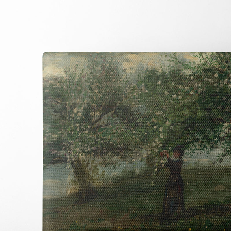 Girl Picking Apple Blossoms (1879) - Winslow Homer - Canvas Print