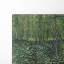 Trees and undergrowth (1887) - Vincent van Gogh - Canvas Print