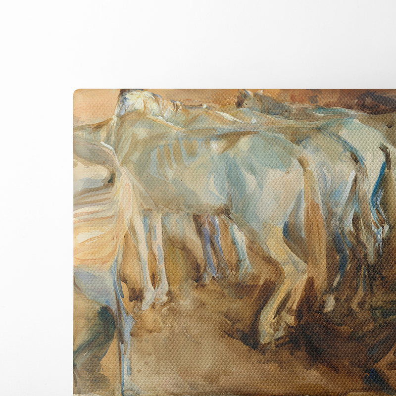 Bus Horses in Jerusalem (1905) - John Singer Sargent - Canvas Print