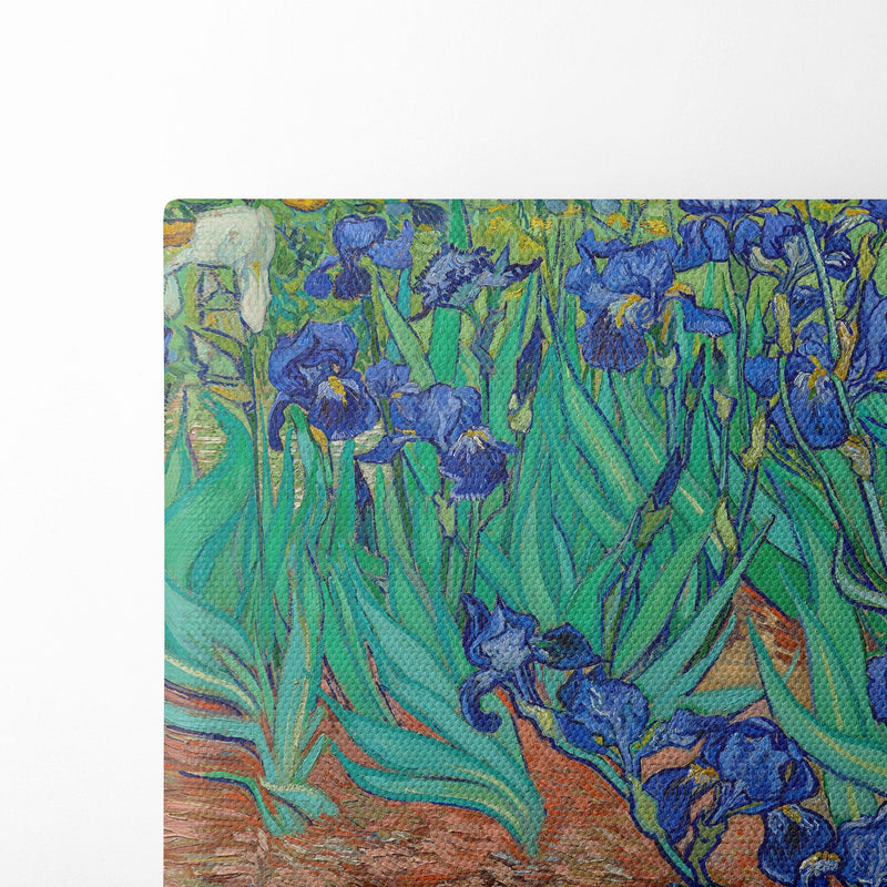 Irises (1889) - Vincent van Gogh - Canvas Print - UAIO LMT