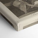 Bien tirada está. (It is nicely stretched.) (1796-1797) - Francisco de Goya - Canvas Print