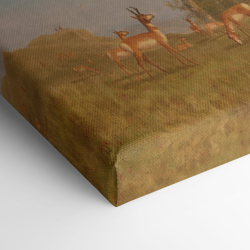 Grazing Antelope (circa 1863) - Albert Bierstadt - Canvas Print