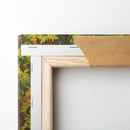 Pomegranates, Majorca - John Singer Sargent - Canvas Print