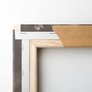 After Vice Comes Fornication [Simpleton] (Tras el Vicio Viene el Fornicio [Bobalicón]) (ca. 1813-1820) - Francisco de Goya - Canvas Print