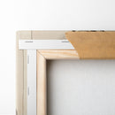 Aguarda que te unten. (Wait till you’ve been anointed.) (1796-1797) - Francisco de Goya - Canvas Print